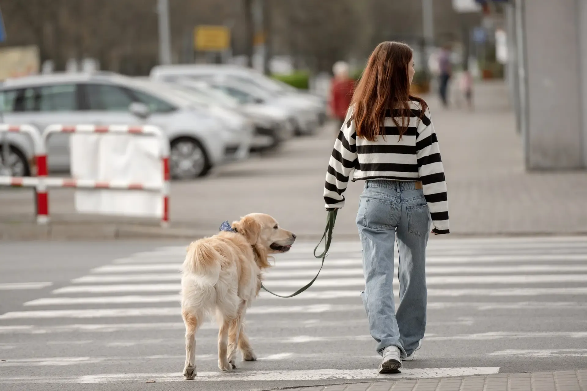 Pedestrian Accident Risks