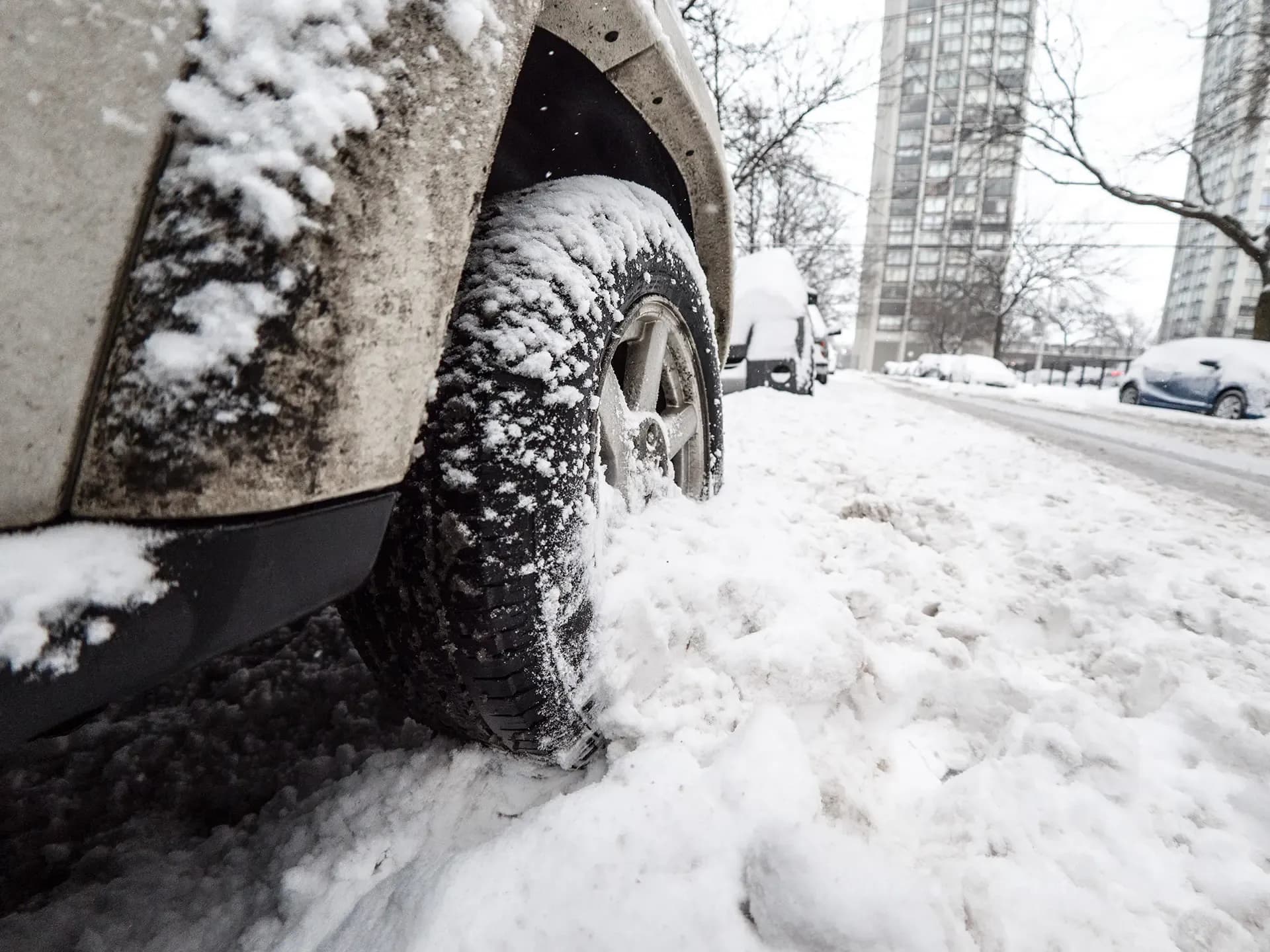 Maintain Safety Road Designate Driver Holiday Season Maintain Safety Road Designate Driver Holiday Season