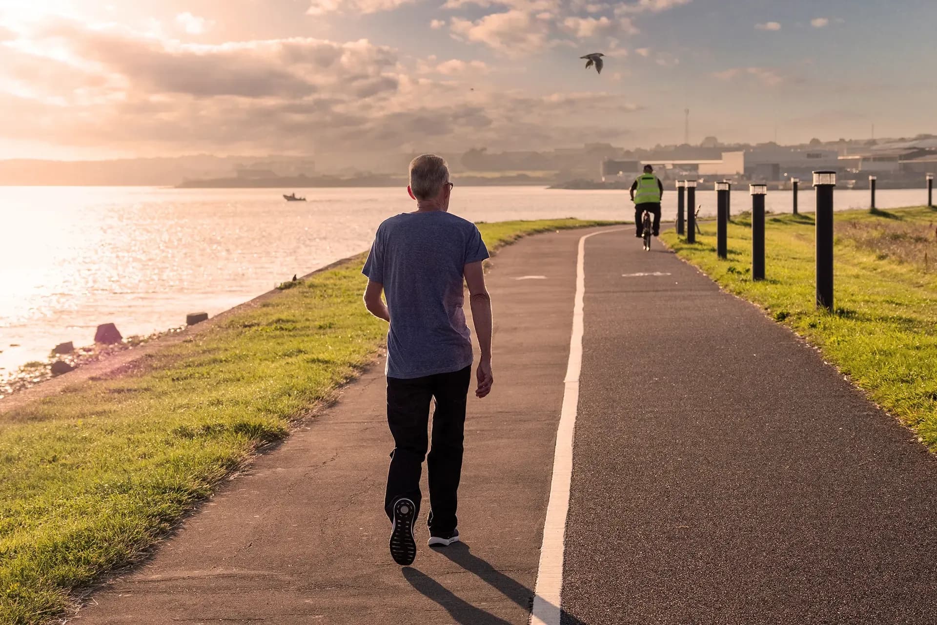 Pathletes Risk Injury Pathletes Risk Injury