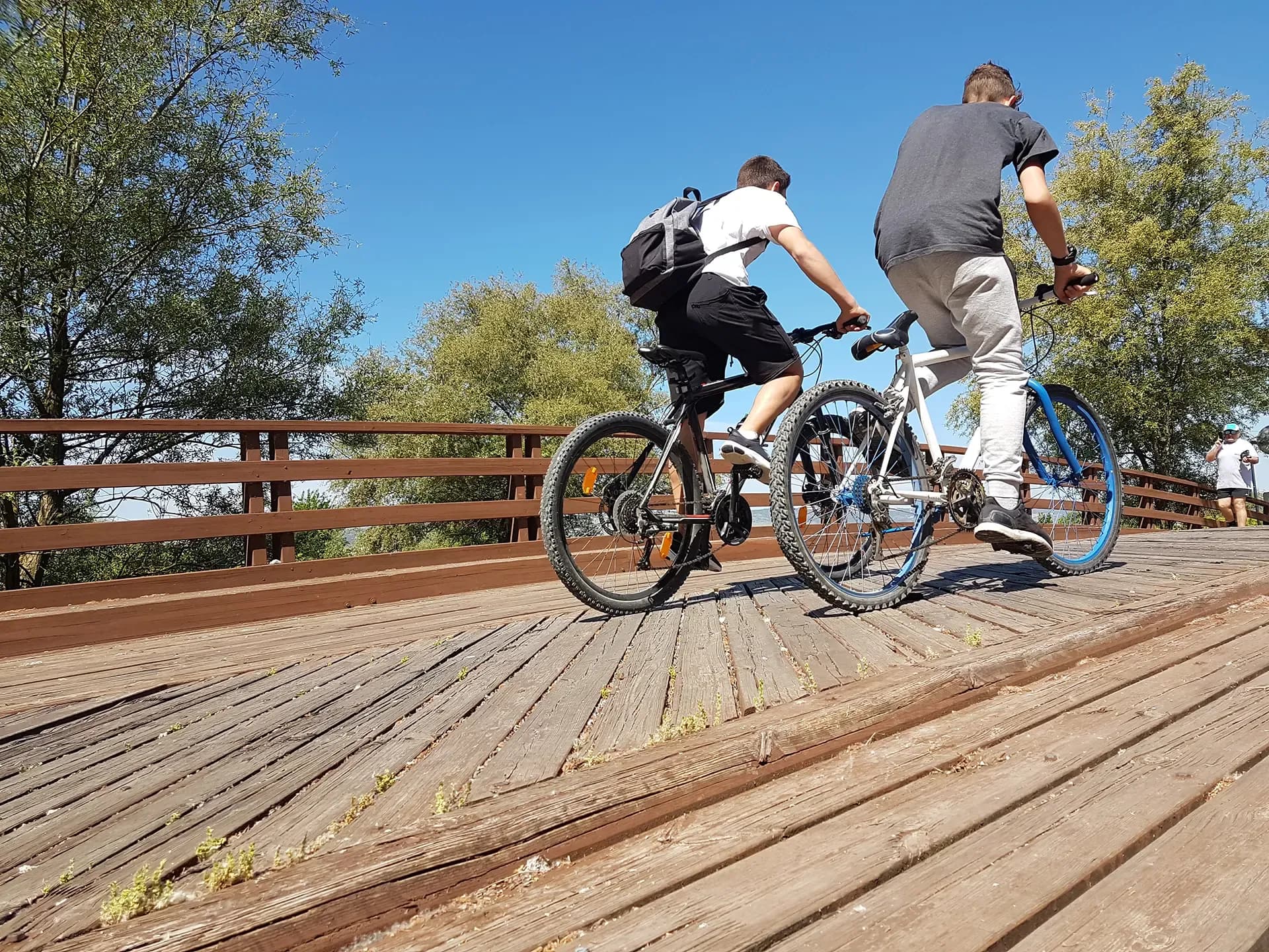 Pedestrian And Bicyclist Injury Prevention Pedestrian And Bicyclist Injury Prevention